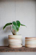 Load image into Gallery viewer, Nancy Pot
