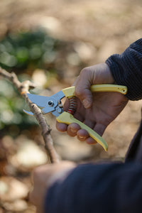 ARS Secateurs